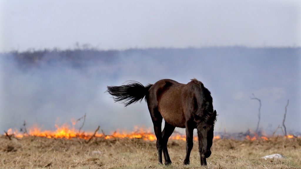 Los 80 incendios que azotan Galicia, en imágenes