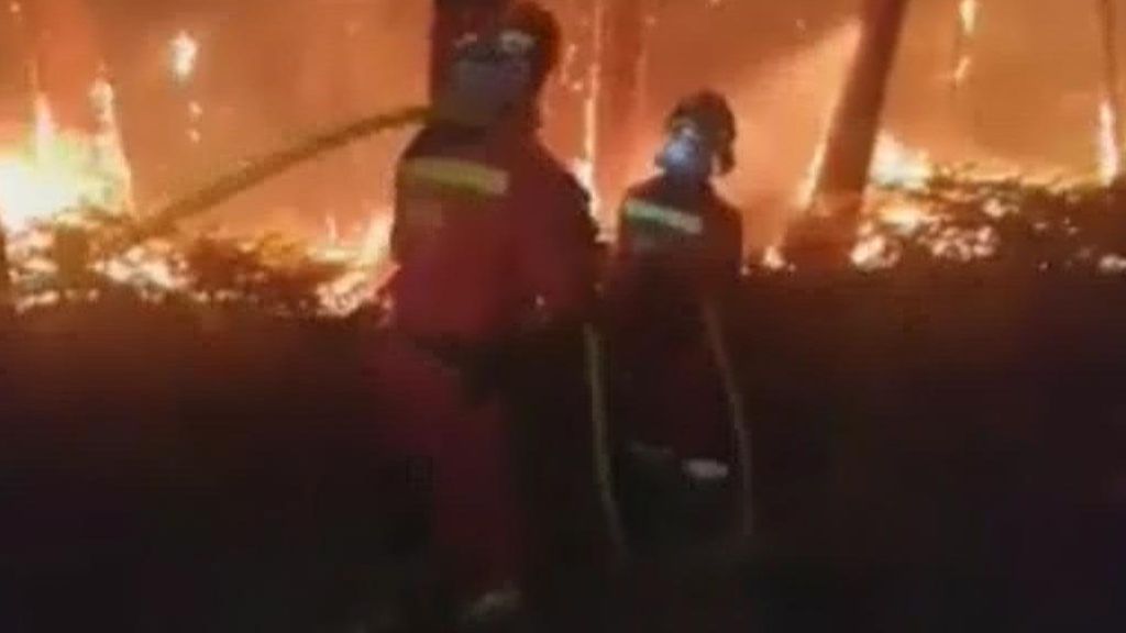 Asturias arde con más de una treintena de incendios activos