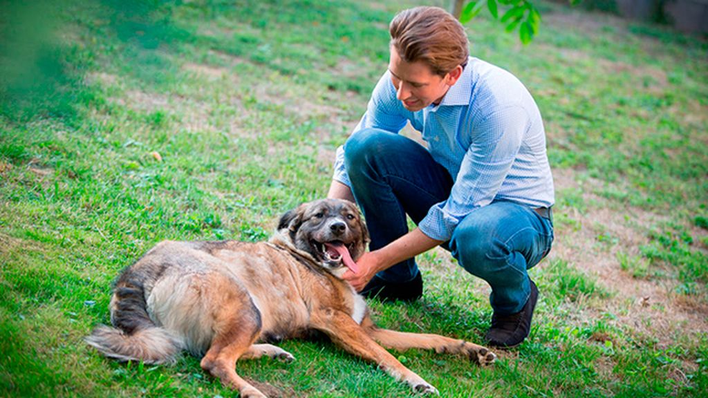 sebastian kurz