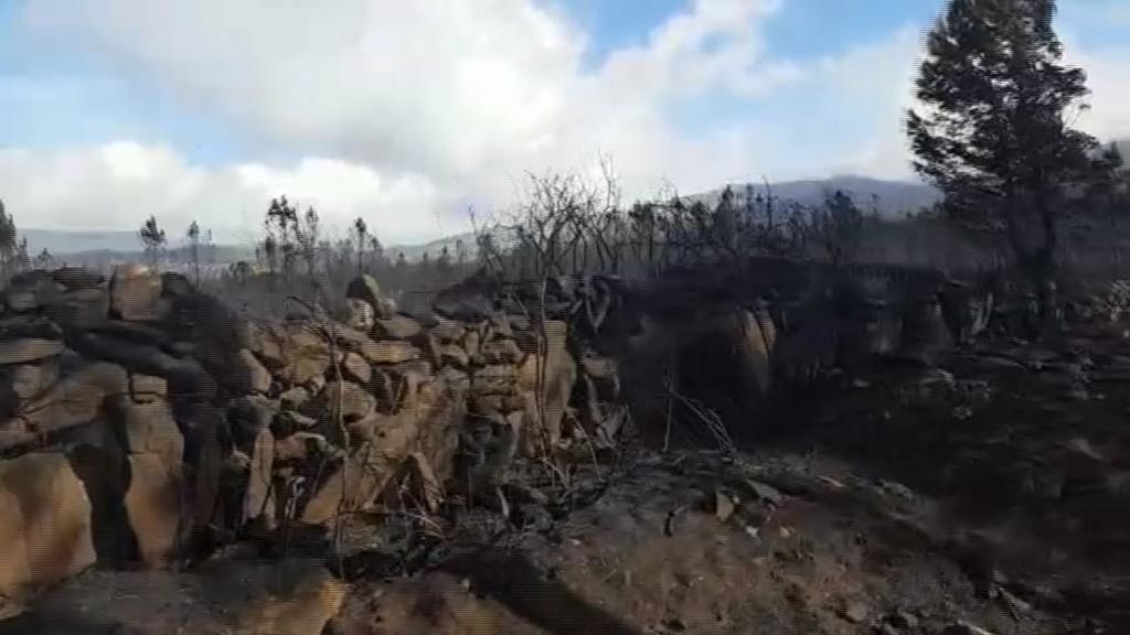 El desolador paisaje en Galicia tras el paso de las llamas