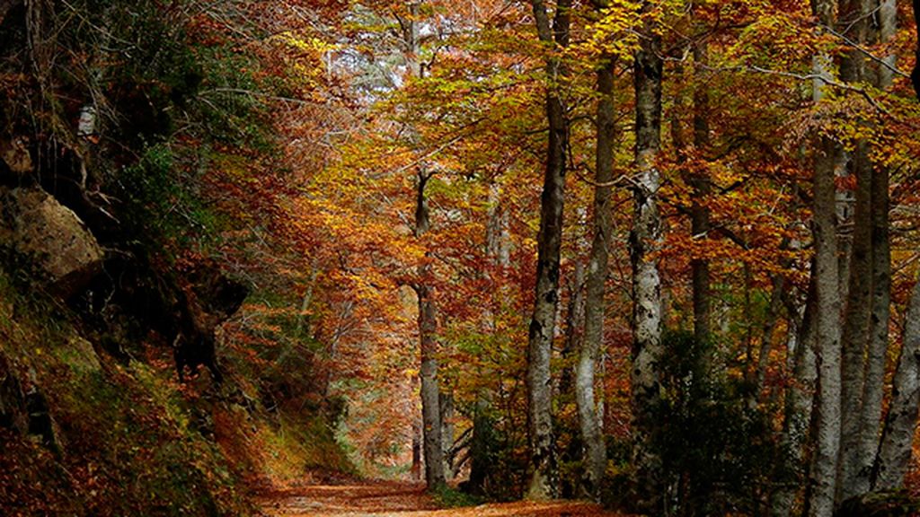 Irati y otros paraísos para flipar en otoño