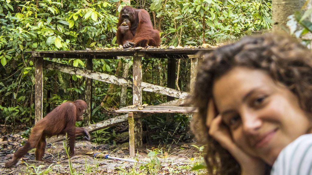 Cara a cara con un orangután