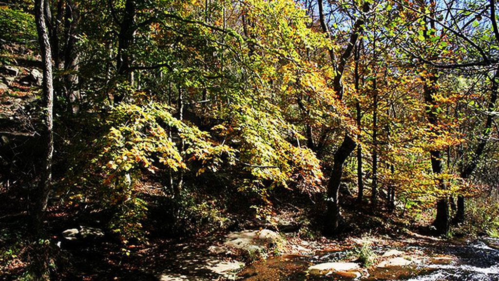 Parque natural del Montseny. Cataluña