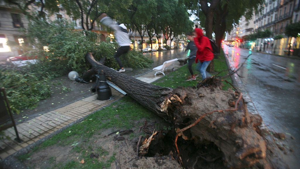 El viento en Tarragona deja balcones desprendidos y árboles por los suelos