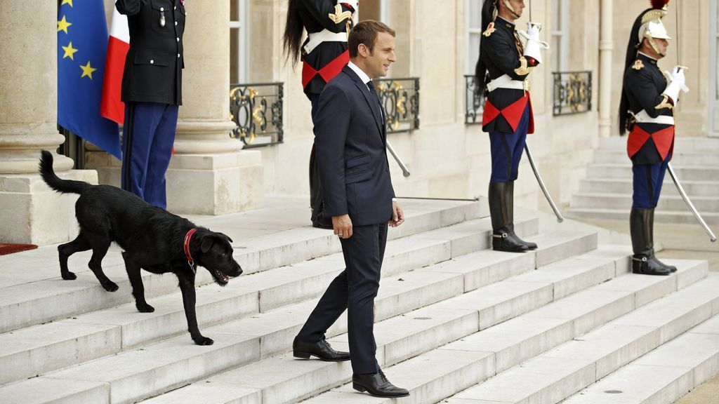 El acto políticamente incorrecto del perro de Macron en el Elíseo