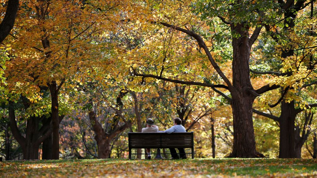 El otoño en Ontario, Canadá