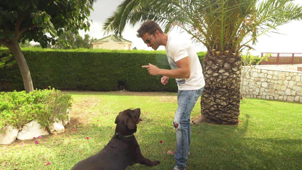 FOTOS: El increíble jardín donde Pablo Alborán ‘charla’ con su perro, Terral
