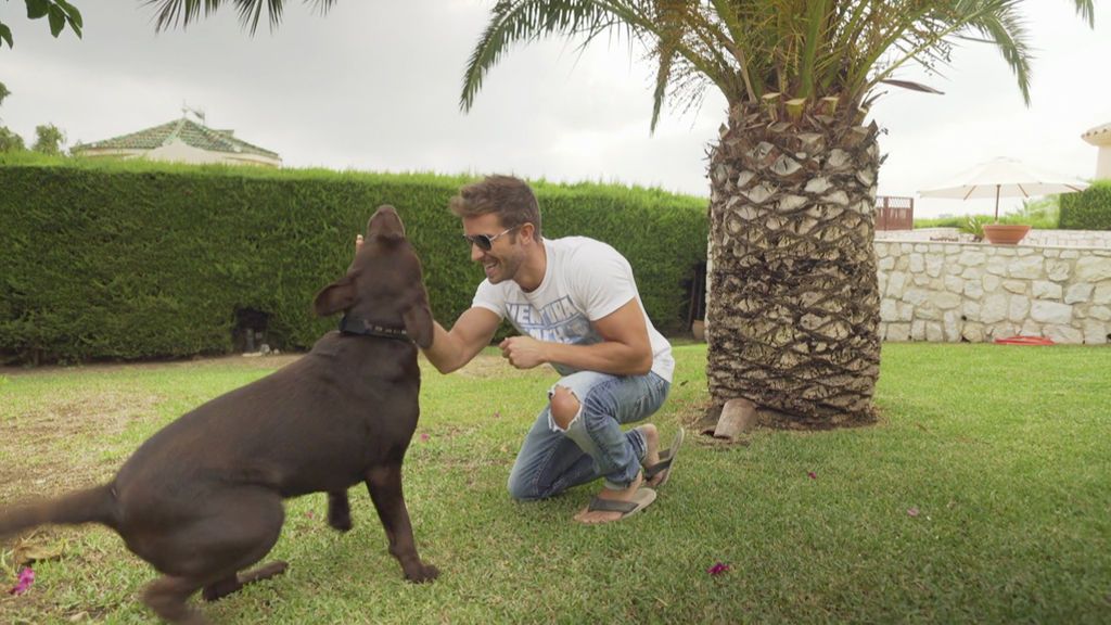 Pablo Alborán, el hombre que susurraba…. a su perro