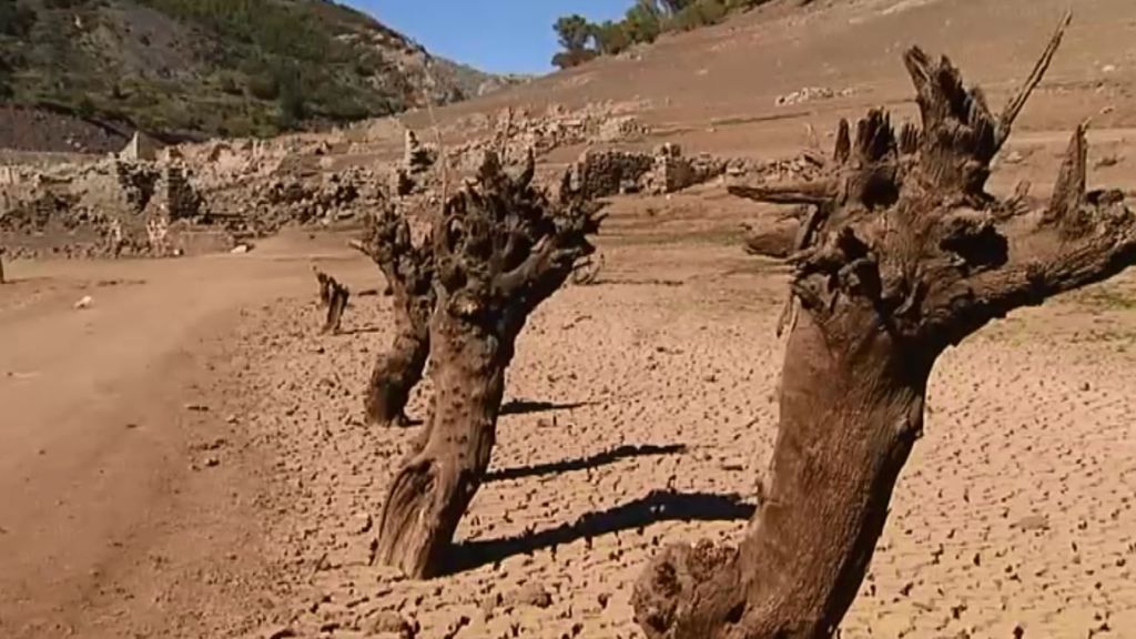 Donde había agua, solo queda desierto: la sequía deja al 13% la cuenca del Segura