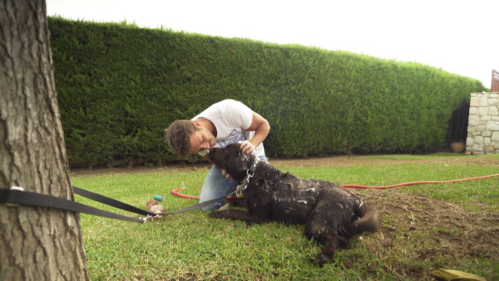 El increíble jardín donde Pablo Alborán ‘charla’ con su perro, Terral