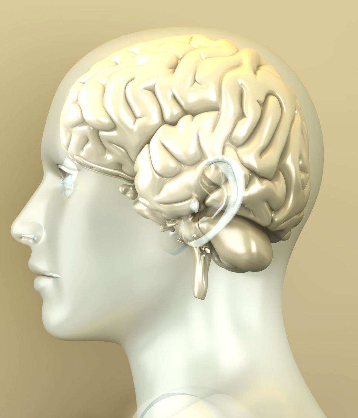 Descubren alteraciones en el 'cableado cerebral' de los pacientes con esquizofrenia
