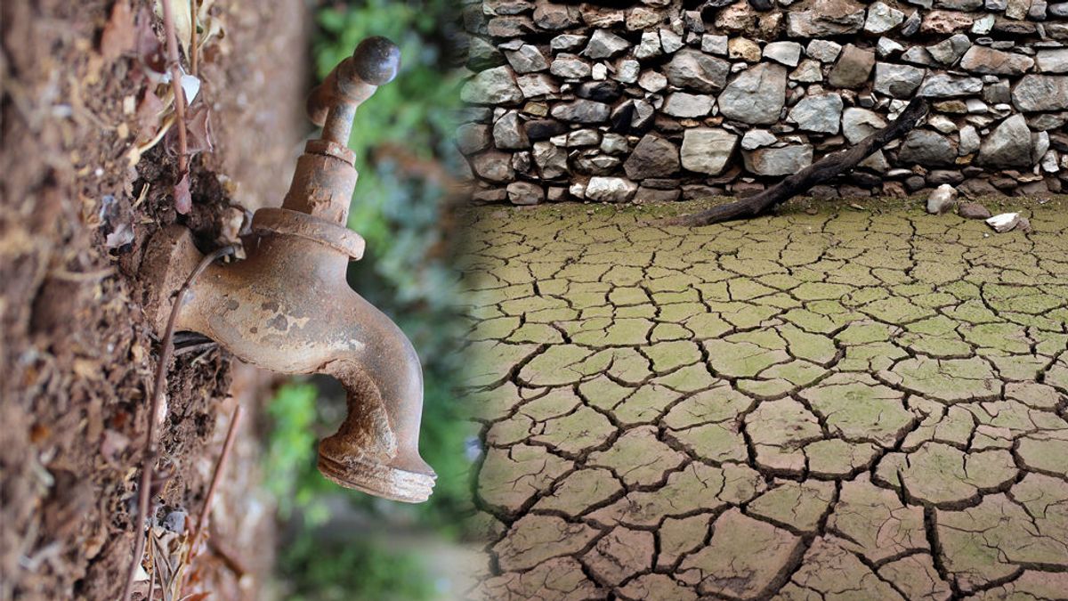 Cortes de agua en casa y campos sin regar: las medidas más duras de la sequía