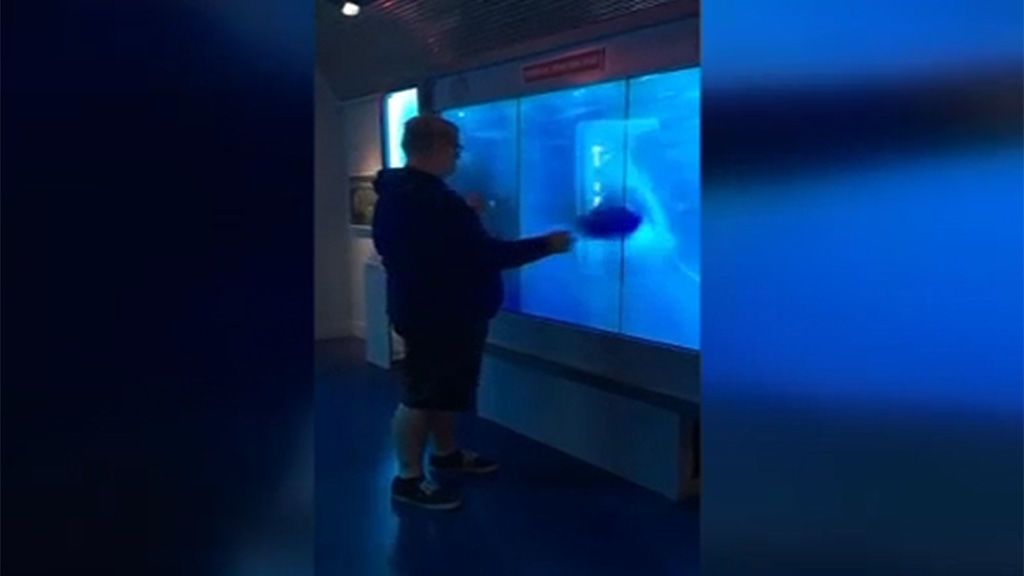 La broma que arrasa en la Red: un tiburón 'ataca' a un hombre después de ignorar un cartel de peligro