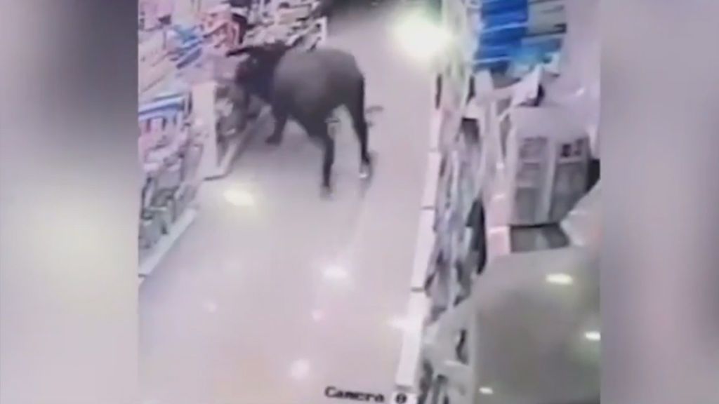 Momento en el que un búfalo embiste a una mujer embarazada en un supermercado