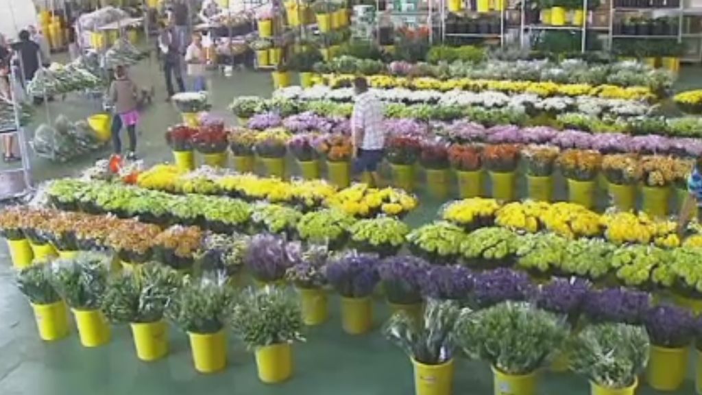 Aumentan las ventas de flores con la llegada del día de los difuntos