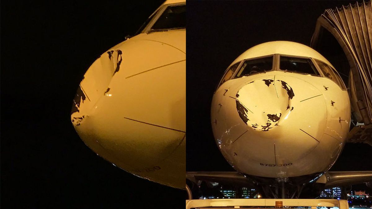 ¿Con qué chocó en pleno vuelo este avión en el que viajaban jugadores de la NBA?