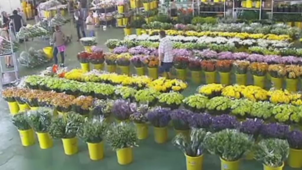 Aumentan las ventas de flores con la llegada del día de los difuntos
