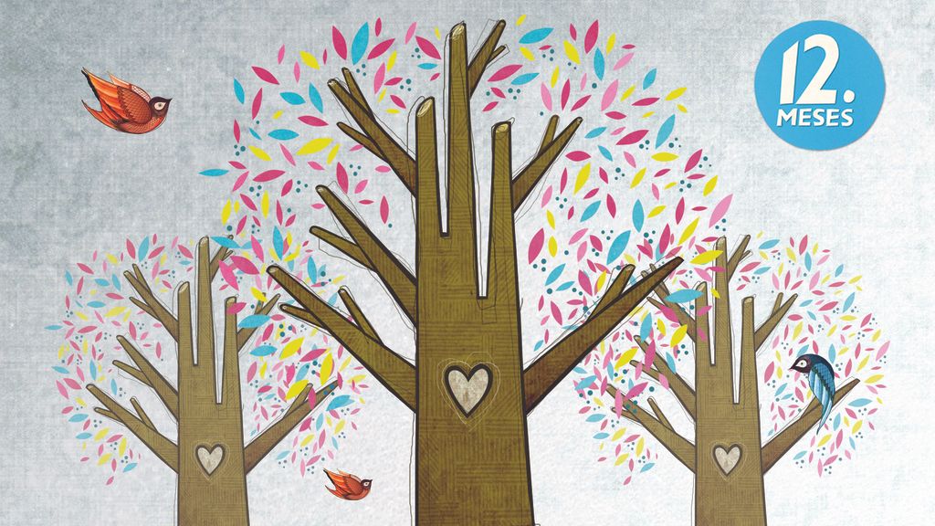 Descubre los diseños de Boa Mistura