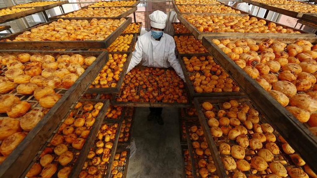 Un aldeano seca caquis para exportar a un taller en Linyi (China)