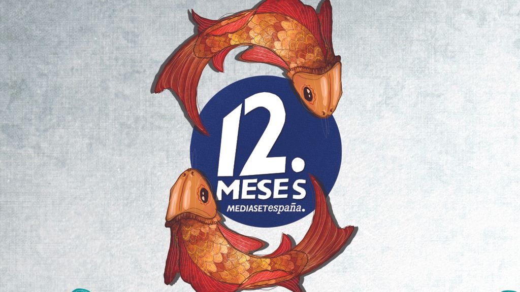 Descubre los diseños de Boa Mistura