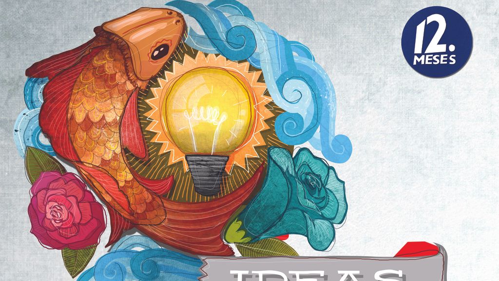 Descubre los diseños de Boa Mistura