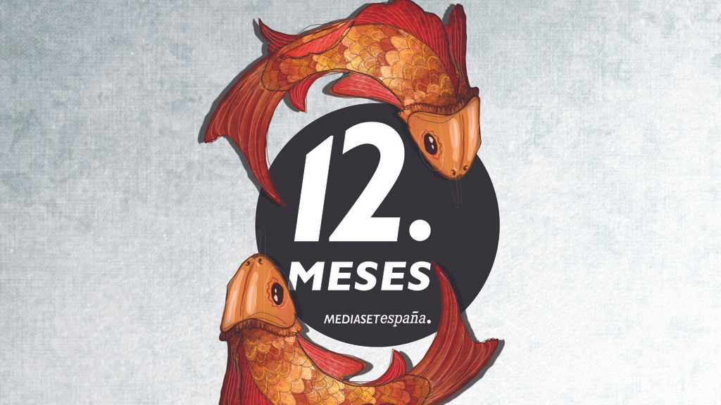 Descubre los diseños de Boa Mistura