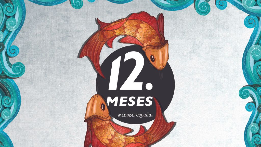 Descubre los diseños de Boa Mistura