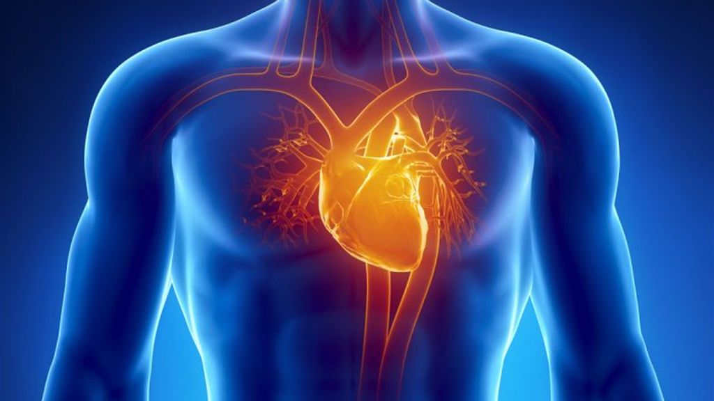 Cada cuatro días fallece una persona menor de 35 años por muerte súbita cardiaca Cada cuatro días fallece una persona menor de 35 años por muerte súbita cardiaca