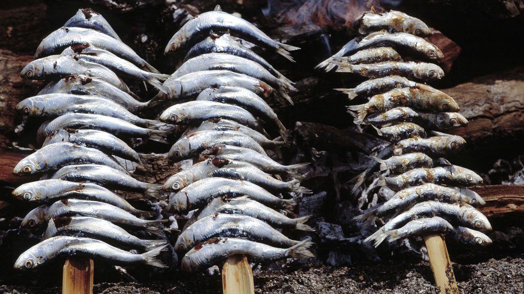 Las sardinas, a un paso de desaparecer de nuestra dieta