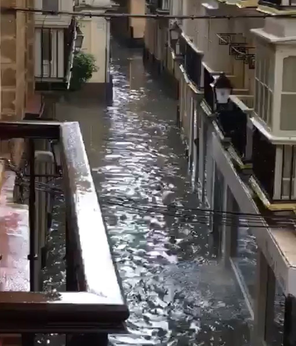 Muchas de las calles de la ciudad ofrecen este aspecto, ¡navegables!