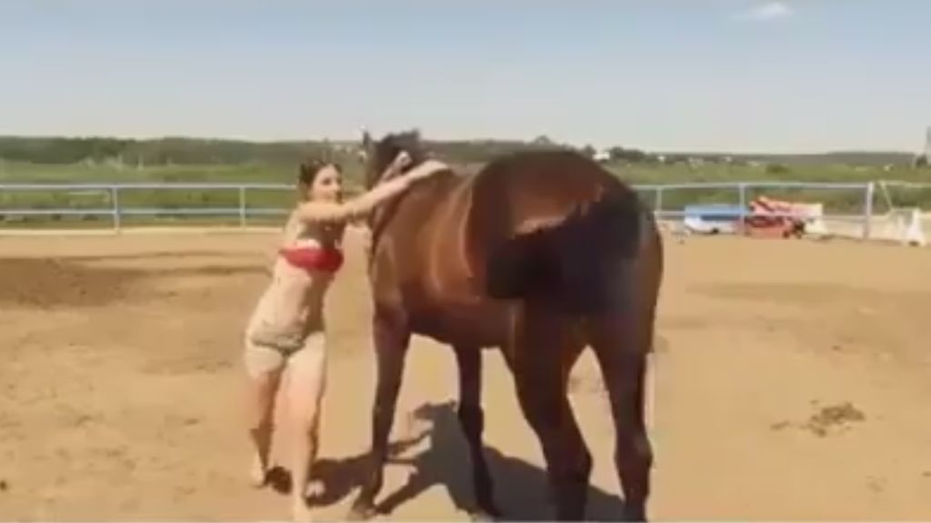 No podía subirse al caballo y el animal tuvo un gran gesto
