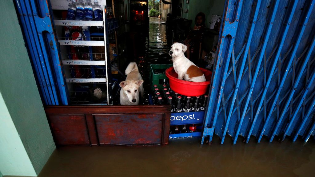 Más de 40.000 casas dañadas y 626 destruidas