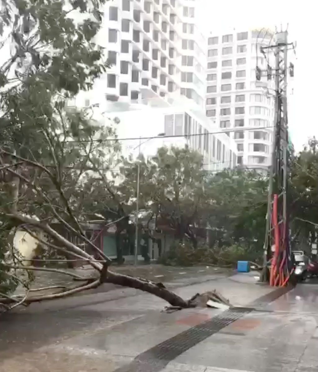 El tifón ha arrancado árboles y postes eléctricos