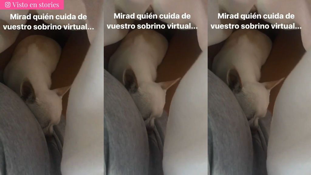 TAMARA2Sin título-2