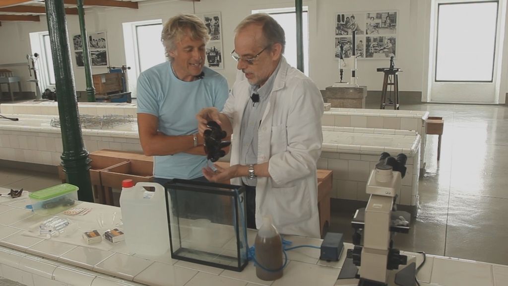 Jesús Calleja y el actor Álex González visitan la Ría de Arousa en 'Volando voy'.