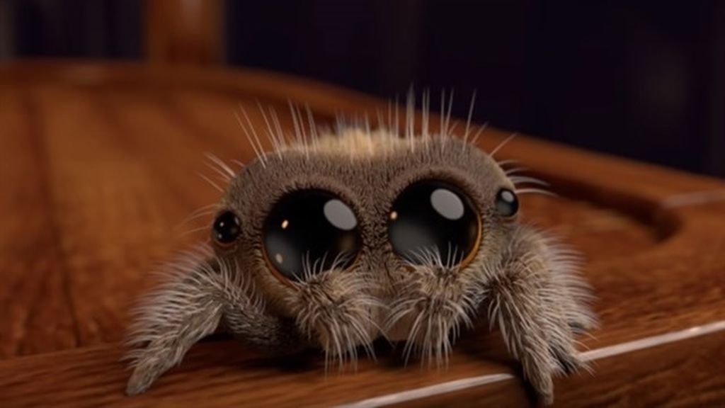 Lucas, la tierna araña que acaba con la aracnofobia