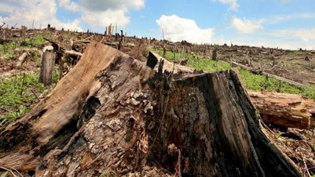 Más de 15.000 científicos alertan de daño ambiental 