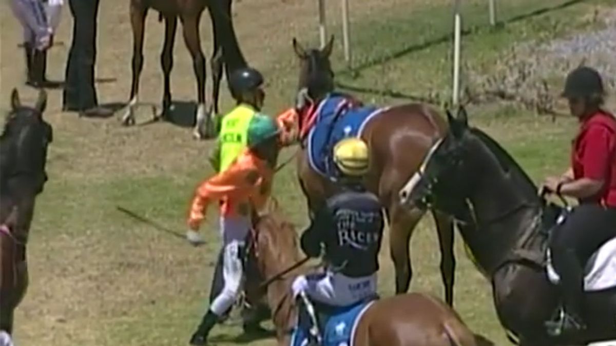 El puñetazo de un jockey a su caballo después de la carrera indigna a Australia y le cuesta la expulsión