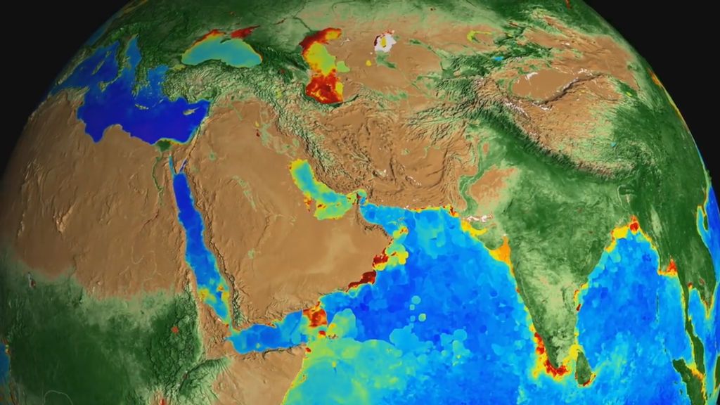 Así ha cambiado el color en la vida vegetal de la Tierra en los últimos 20 años