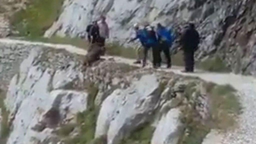 Un grupo de senderistas despeña a un jabalí por un barranco de los Picos de Europa