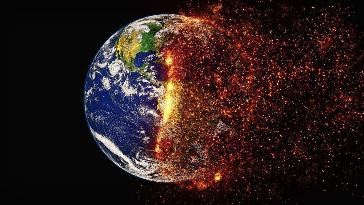 Océanos, clima, incendios: 15.000 científicos se unen para denunciar los daños al planeta