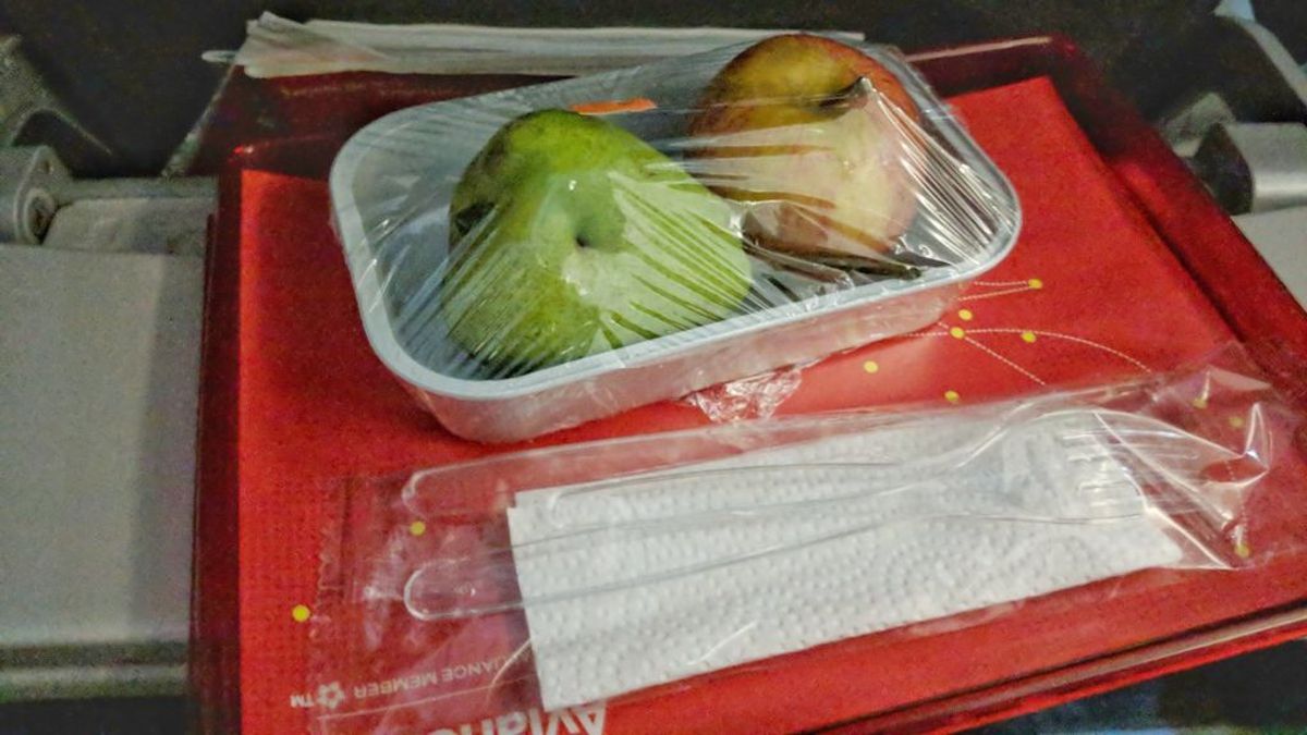 Pide un menú vegetariano durante un vuelo pero se lleva una sorpresa