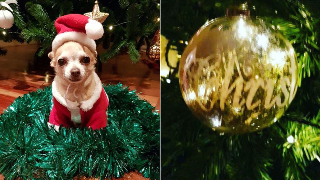 Su perrito Mowgly de Papá Noel y bien de dorado: La Navidad ha llegado a casa de Paula Echevarría y Daniela