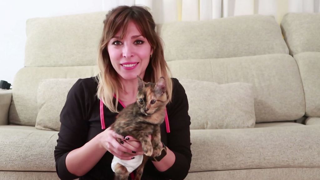 Cuidando a mi gatita paralítica: el ingenioso pañal para Margarita