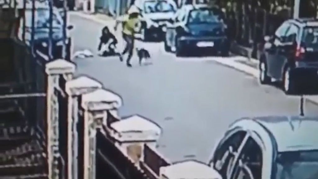 Un perro callejero salva a una mujer de un atracador