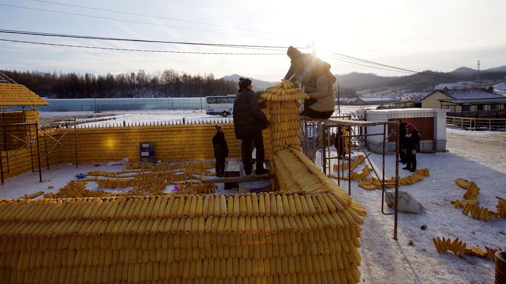 Los aldeanos construyen una casa con mazorcas de maíz en Jilin, provincia de Jilin, China