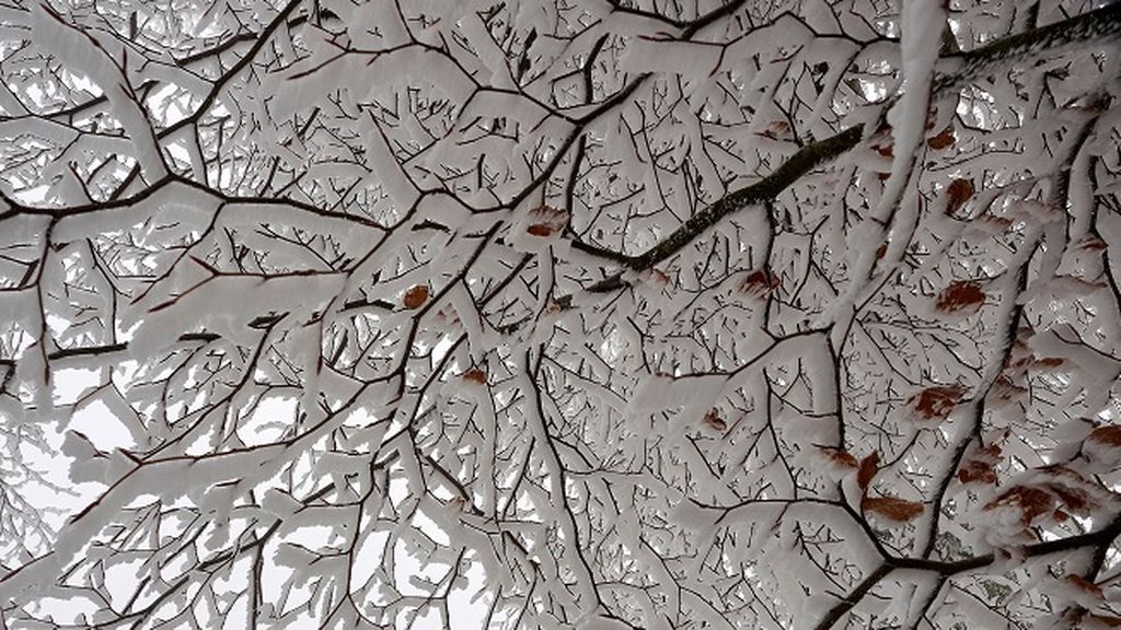 El frío ya se ha instalado en España, con temperaturas de -14ºC en los Pirineos