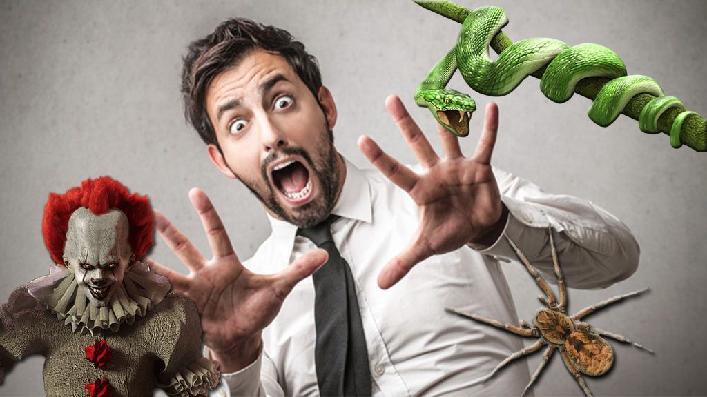 Arañas, serpientes, payasos... ¿cuál es tu mayor fobia? ¡Vota ya!