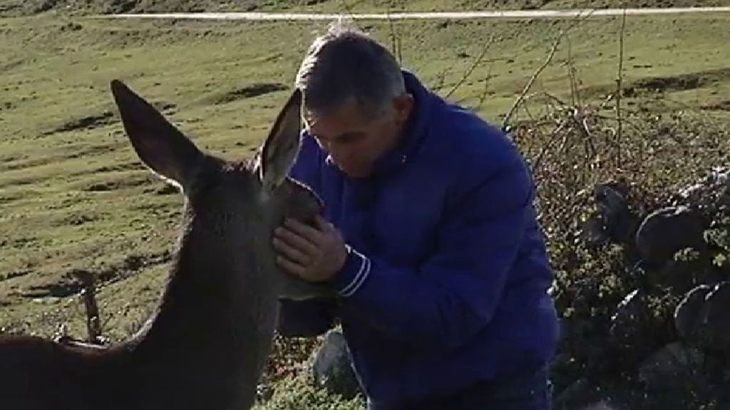 La bonita historia de amor de Aladino y Bambi