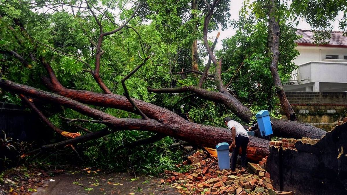 El ciclón 'Ockhi' deja 20 muertos en India y Sri Lanka y se dirige a Bombay